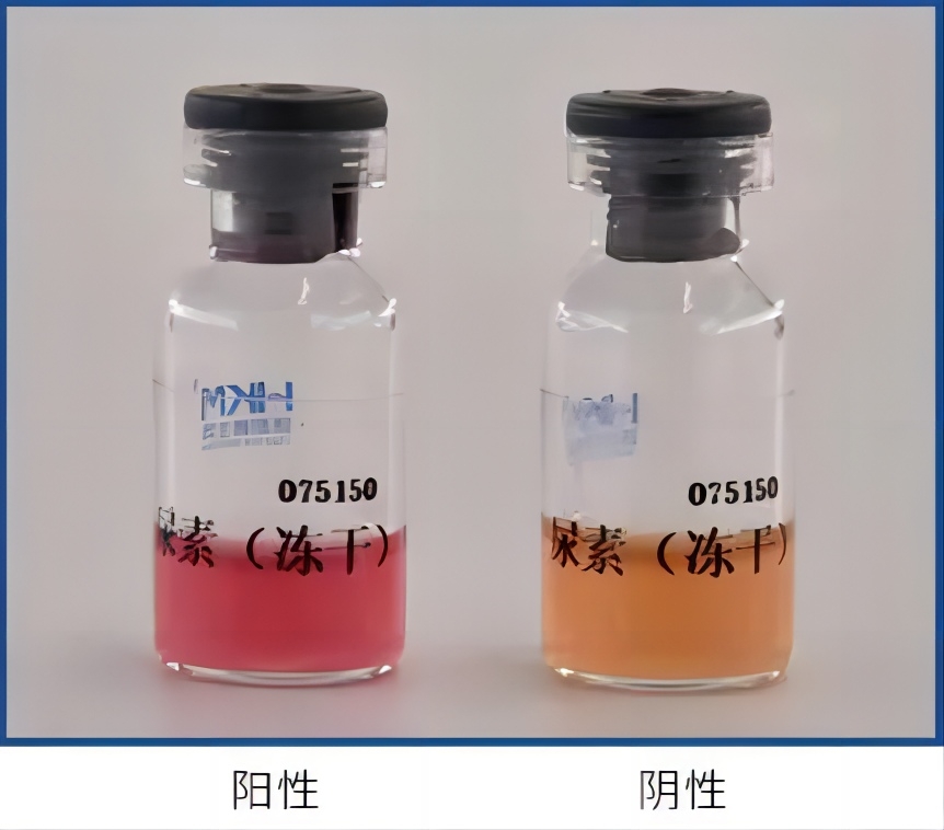 尿素酶實(shí)驗